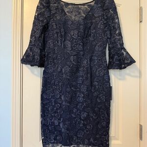 Adrianna Papell Women's  Rosie Embroidered Sheath Dress Size‎ 8